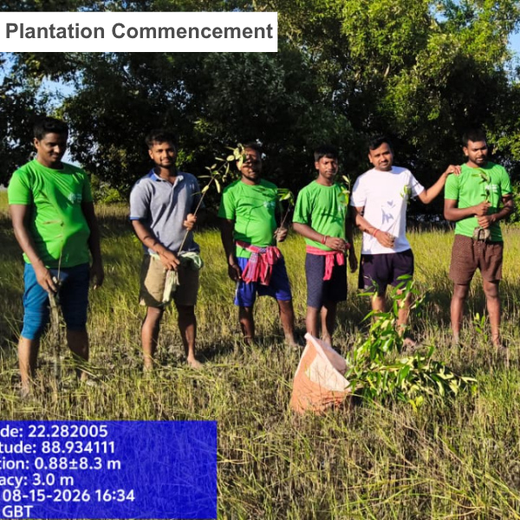 Incanova: Turning Every Purchase into Climate Action – Planting