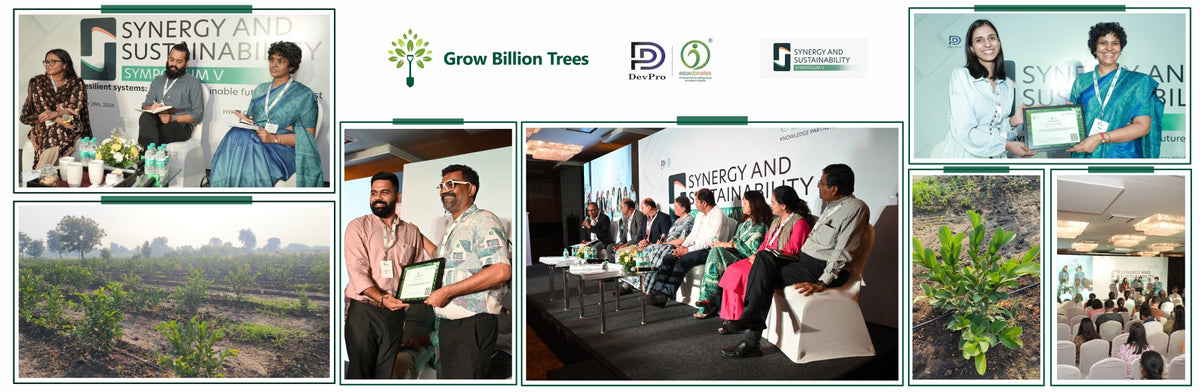 Rooted in Resilience: INDIAdonates’ Agroforestry Tribute Initiative