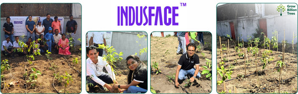Indusface Nurtures Nature: Building Urban Forests for a Sustainable Tomorrow
