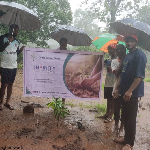 Green Trail by Infinity Cars: Turning Customer Milestones into Forests – Planting