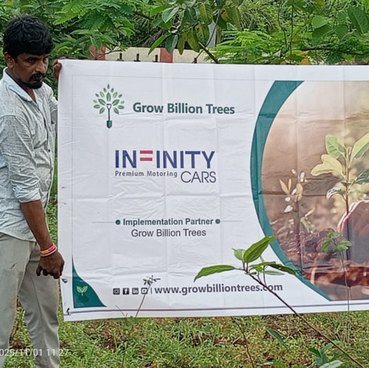Eco-Drive by Infinity Cars: A Growing Legacy for Every Journey – 6 months