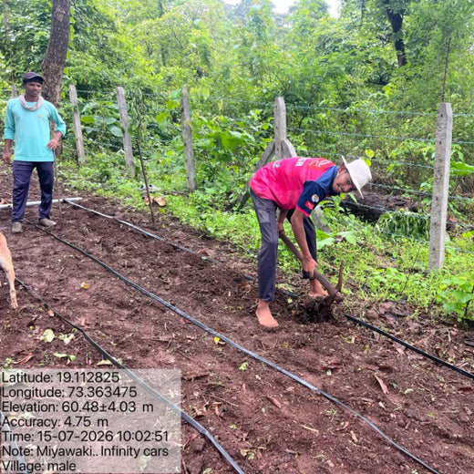 Infinity Cars: Celebrating Customers with Trees – Planting
