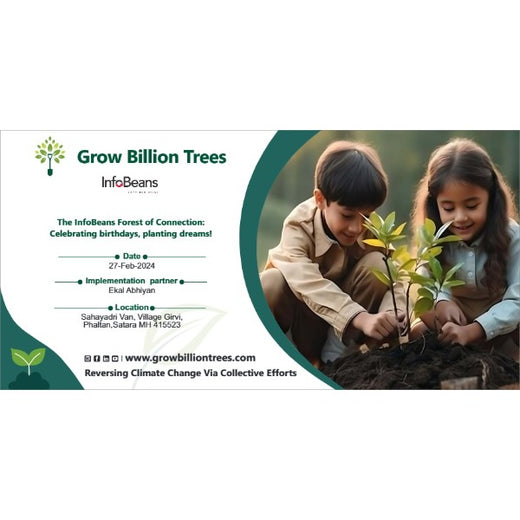 InfoBeans Forest of Connection: Celebrating Birthdays, Planting Dreams – Planting