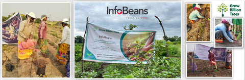 InfoBeans Forest of Connection: Celebrating Birthdays, Planting Dreams