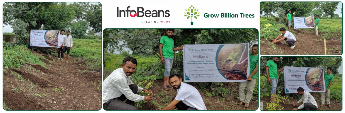 A Green Salute: InfoBeans' Tree Plantation Tribute for Guests