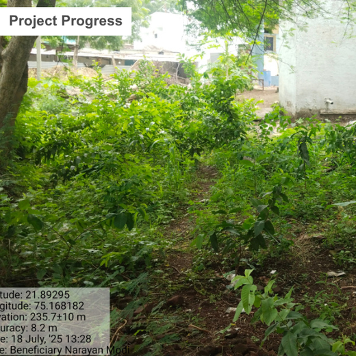 InfoBeans' Anniversary Gift: Agroforestry Initiative Marks 5 Years of Client Collaboration – Planting