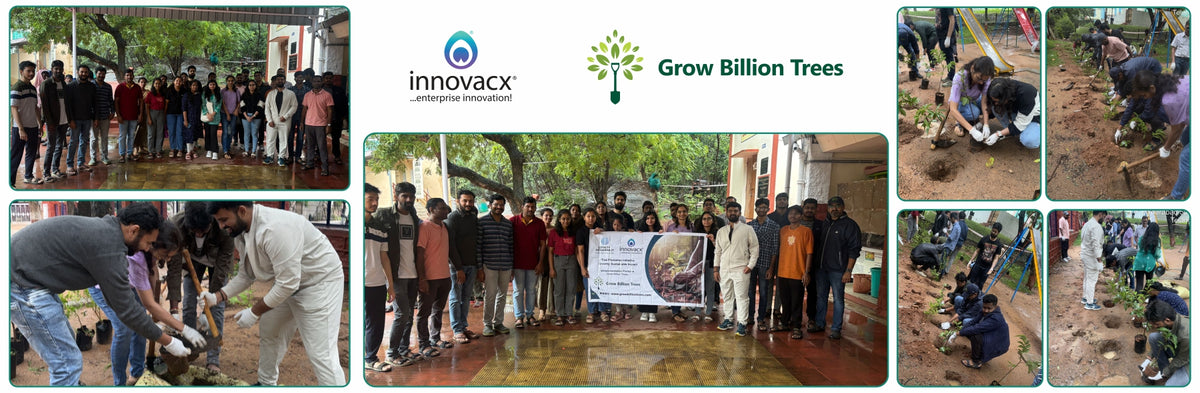Innovacx Goes Green: Cultivating Trees, Connecting Teams