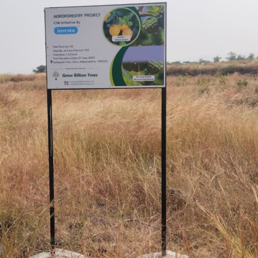 Green Hands, Green Lands: Investa Pumps’ CSR in Action – 6 months