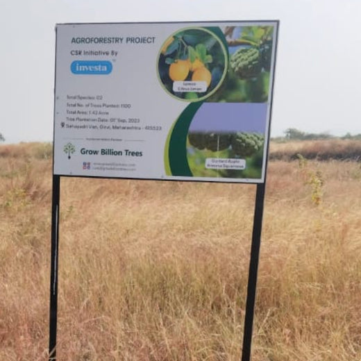 Green Hands, Green Lands: Investa Pumps’ CSR in Action – 6 months