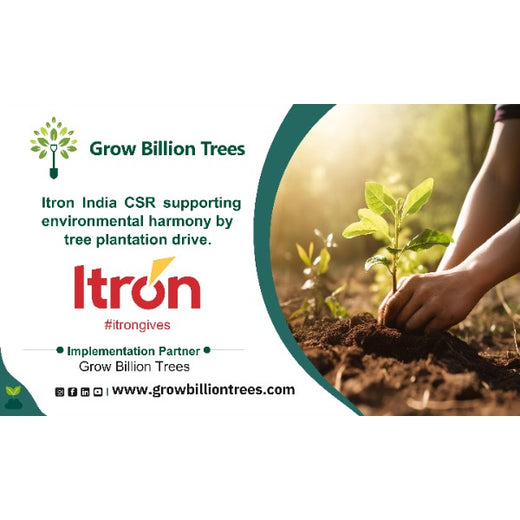 Branching Out for Change: Itron India Pvt Ltd's CSR for Urban Forests – 6 months