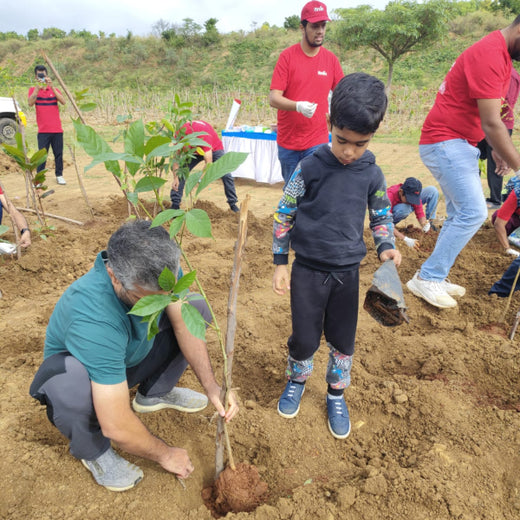 Branching Out for Change: Itron India Pvt Ltd's CSR for Urban Forests – 6 months