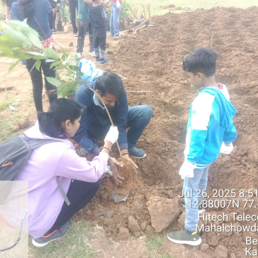 Branching Out for Change: Itron India Pvt Ltd's CSR for Urban Forests – 6 months