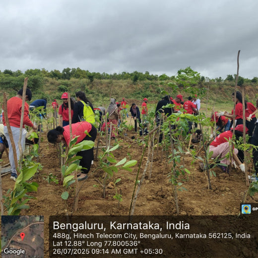 Branching Out for Change: Itron India Pvt Ltd's CSR for Urban Forests – 6 months