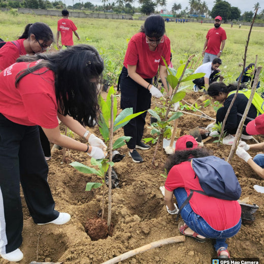 Branching Out for Change: Itron India Pvt Ltd's CSR for Urban Forests – 6 months