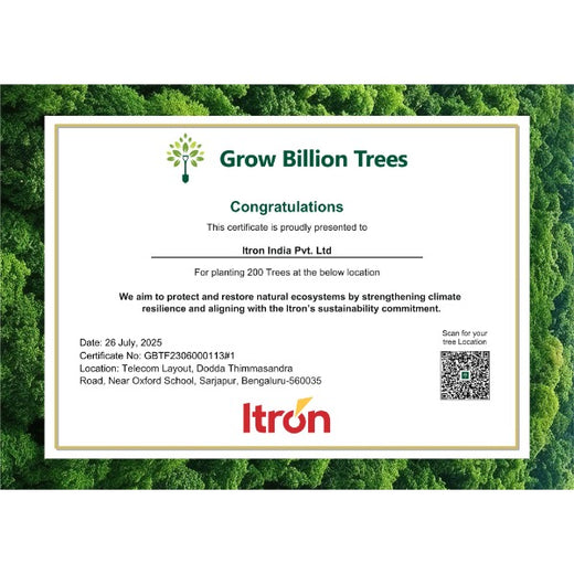 Branching Out for Change: Itron India Pvt Ltd's CSR for Urban Forests – 6 months