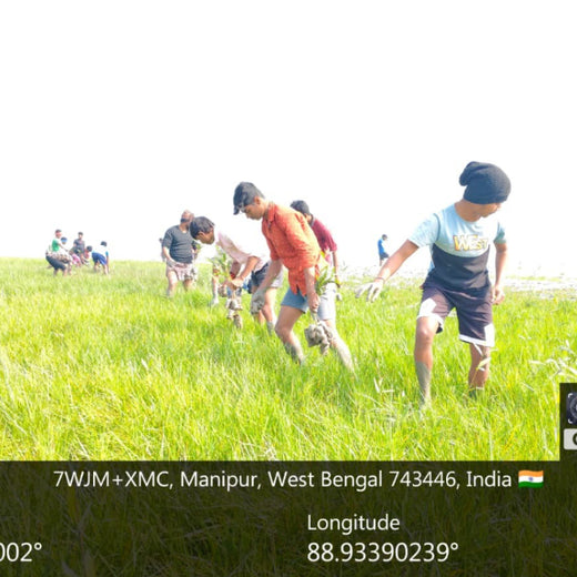 JAN AI’s Wish Tree Initiative at the India–AI Impact Summit 2026 – Planting