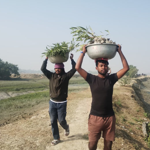 JAN AI’s Wish Tree Initiative at the India–AI Impact Summit 2026 – Planting