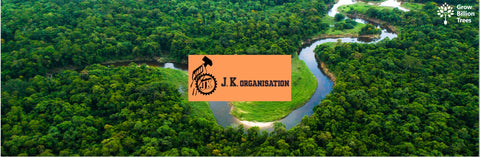 Eco-Leadership: JK Organisation's Agroforest Vision