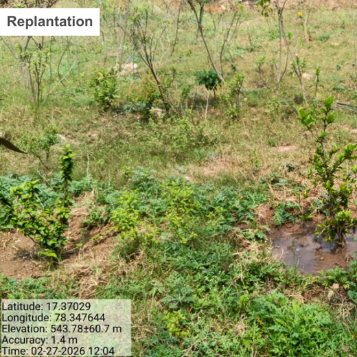 Celebrating Vedh’s 2nd Year by Giving Back to Nature – 2 years