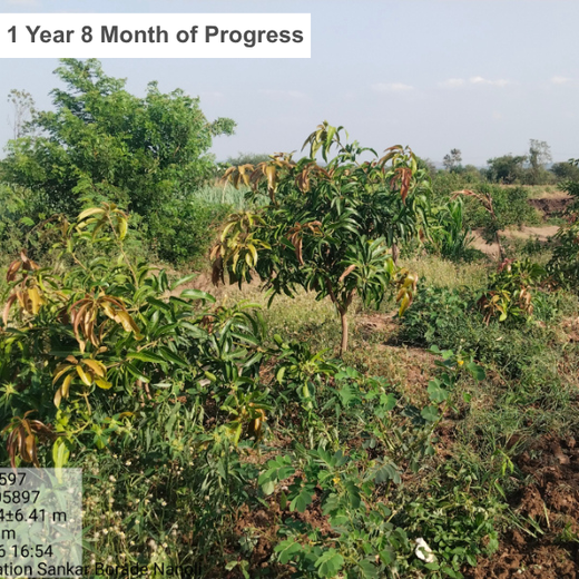 Rooted in Teamwork: KBR's Employee Engagement through Tree Plantation – 1 year