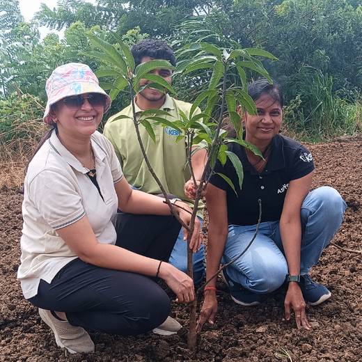 Rooted in Teamwork: KBR's Employee Engagement through Tree Plantation – Planting