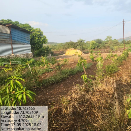 Rooted in Teamwork: KBR's Employee Engagement through Tree Plantation – 6 months