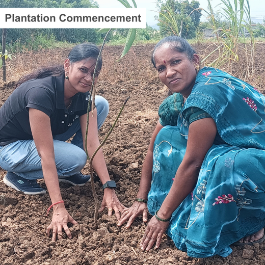 Rooted in Teamwork: KBR's Employee Engagement through Tree Plantation – Planting