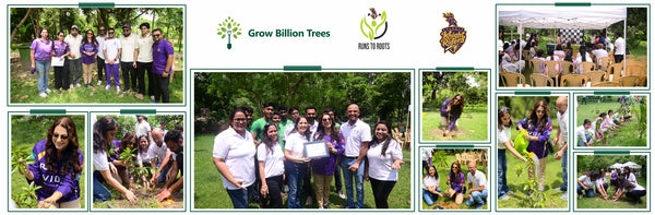 Runs to Roots: Kolkata Knight Riders’ Green Commitment