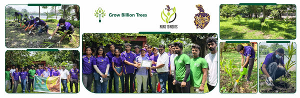 Runs to Roots: Kolkata Knight Riders Planting Change