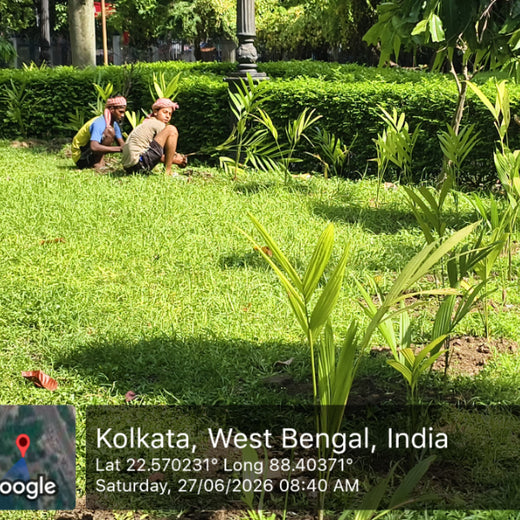 Runs to Roots: Kolkata Knight Riders Planting Change – 6 months