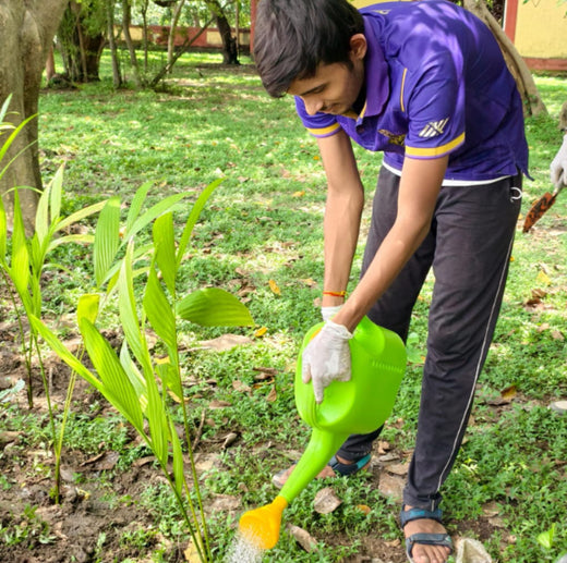 Runs to Roots: Kolkata Knight Riders Planting Change – 6 months