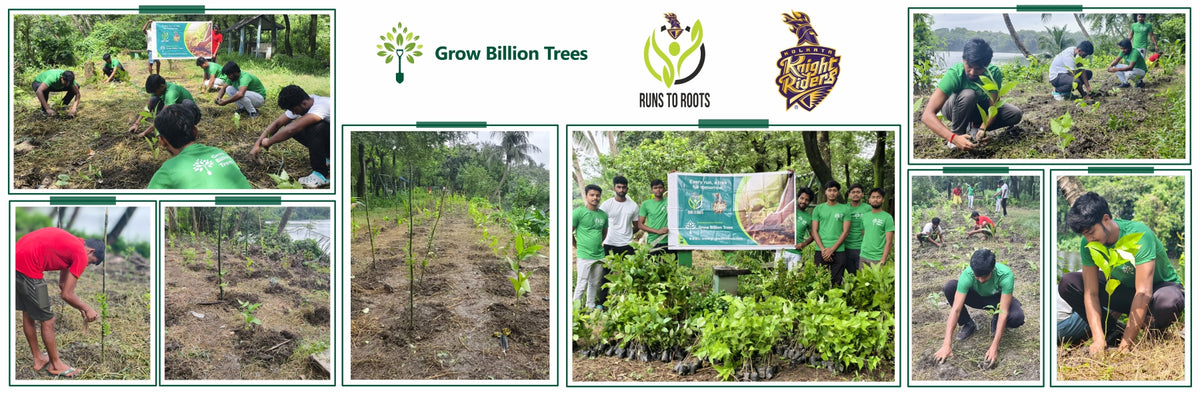 KKR’s Runs to Roots: Greening Nature’s Park, Kolkata