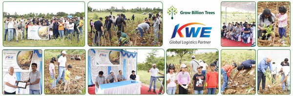 Delivering Sustainability: KWE's Eco-Conscious CSR Journey