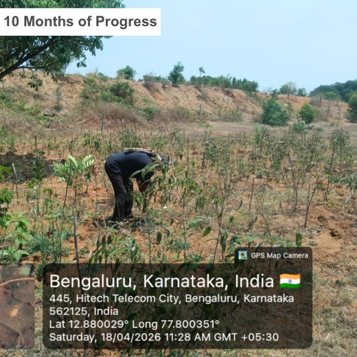 Delivering Sustainability: KWE's Eco-Conscious CSR Journey – 2 years