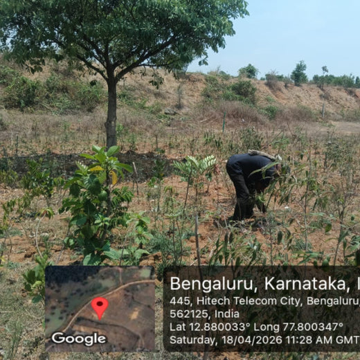 Delivering Sustainability: KWE's Eco-Conscious CSR Journey – 2 years