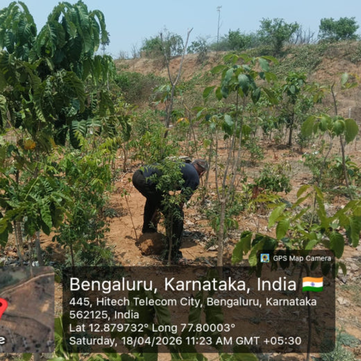 Delivering Sustainability: KWE's Eco-Conscious CSR Journey – 2 years