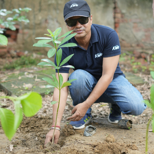 Sustainable Miles: KWE’s Eco-Driven CSR Initiatives – 1 year