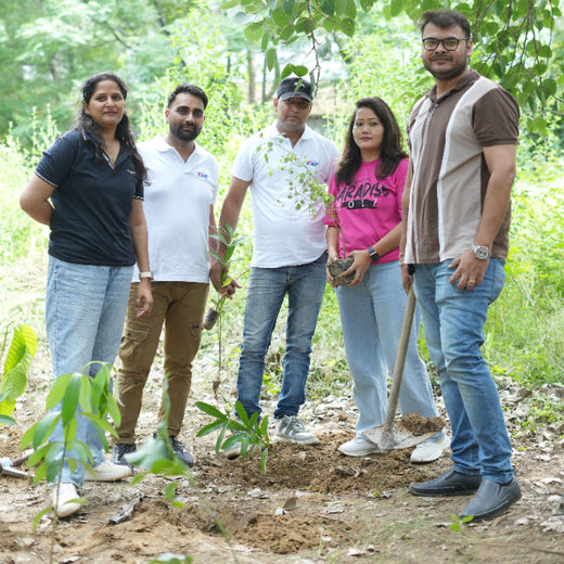 Sustainable Miles: KWE’s Eco-Driven CSR Initiatives – 1 year
