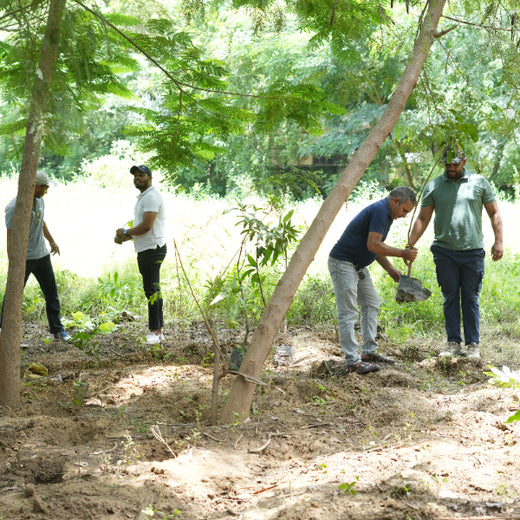 Sustainable Miles: KWE’s Eco-Driven CSR Initiatives – 1 year