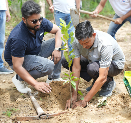 Sustainable Miles: KWE’s Eco-Driven CSR Initiatives – 1 year