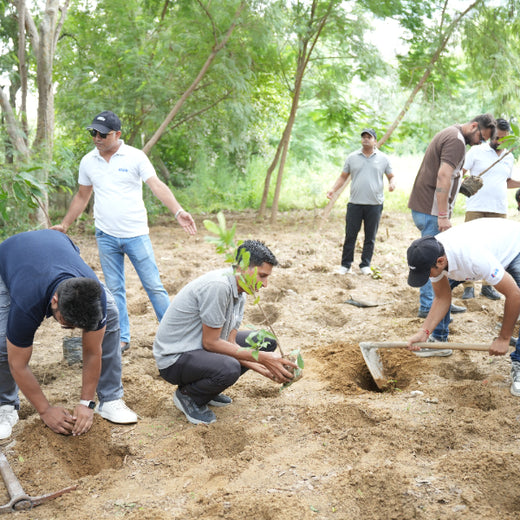 Sustainable Miles: KWE’s Eco-Driven CSR Initiatives – 1 year