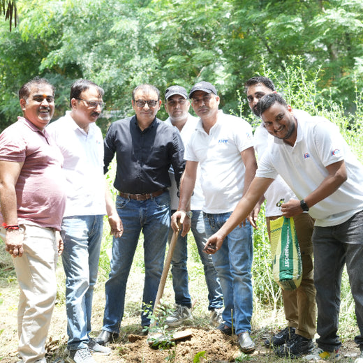 Sustainable Miles: KWE’s Eco-Driven CSR Initiatives – 1 year