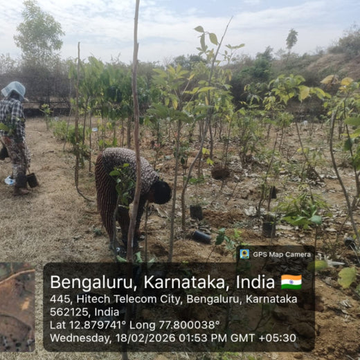 Delivering Sustainability: KWE's Eco-Conscious CSR Journey – 2 years