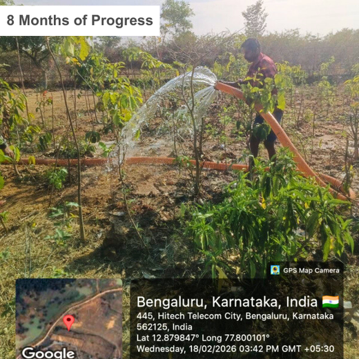 Delivering Sustainability: KWE's Eco-Conscious CSR Journey – 2 years