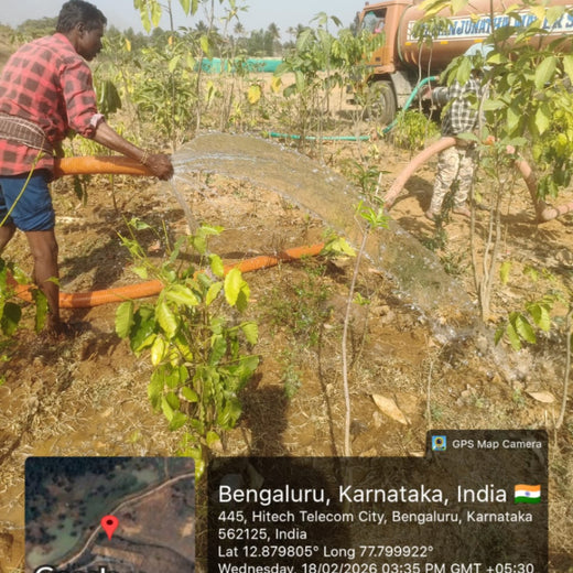 Delivering Sustainability: KWE's Eco-Conscious CSR Journey – 2 years
