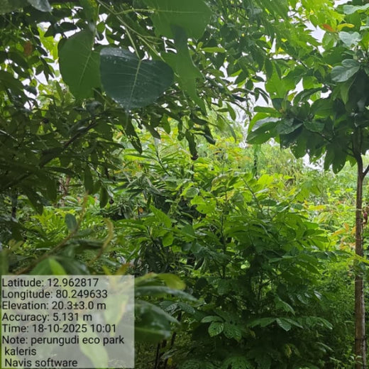 Eco-Innovation in Action: Kaleris Plants for a Greener Future – 2 years