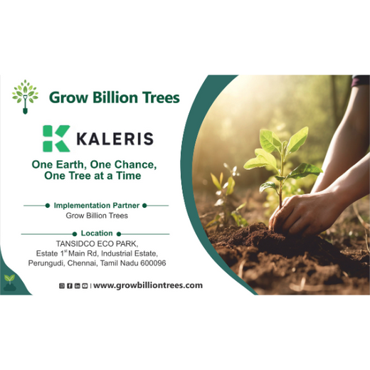 Eco-Innovation in Action: Kaleris Plants for a Greener Future – Planting