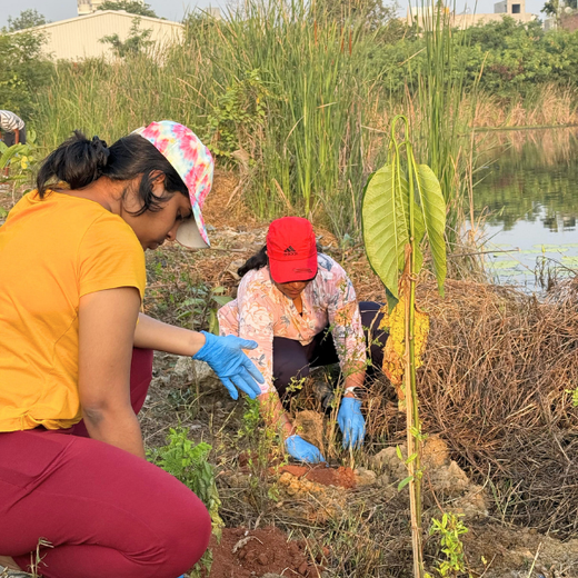Eco-Innovation in Action: Kaleris Plants for a Greener Future – Planting