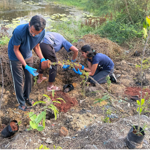 Eco-Innovation in Action: Kaleris Plants for a Greener Future – Planting