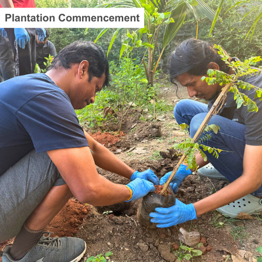 Eco-Innovation in Action: Kaleris Plants for a Greener Future – Planting
